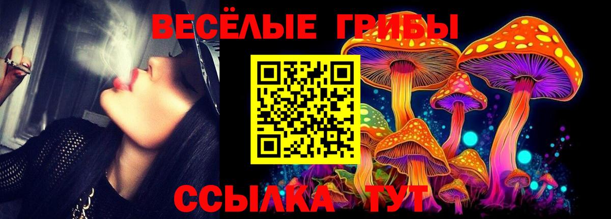 Галлюциногенные грибы Cubensis Добрянка